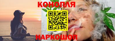 spice Кингисепп