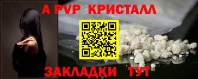 spice Кингисепп
