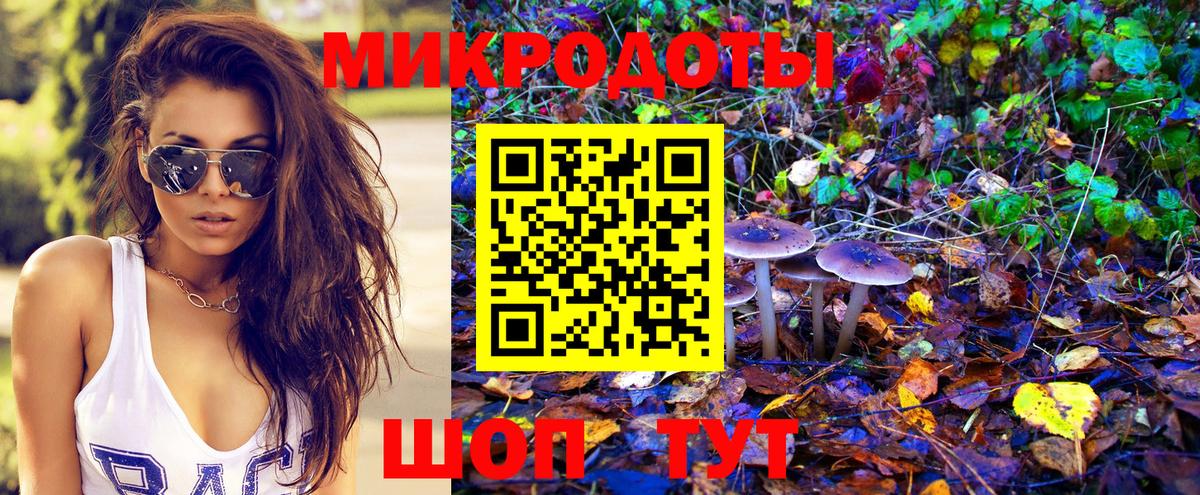 Шахты  Псилоцибиновые грибы мухоморы  Псилоцибиновые грибы ЛСД  как найти наркотики  Вход с VPN 